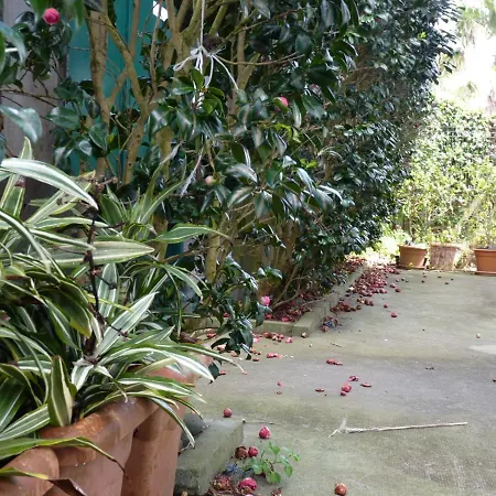 Azores Holidays House -b&b - - Self Check-in Keyboard 3* 蓬塔德尔加达