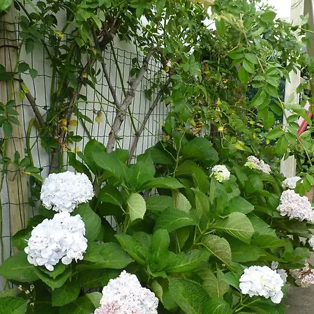 Azores Holidays House -b&b - - Self Check-in Keyboard 3* 蓬塔德尔加达