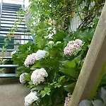 Azores Holidays House -b&b - - Self Check-in Keyboard فندق مبيت وإفطار 3*