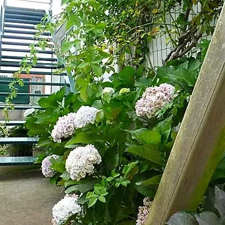 Azores Holidays House -b&b - - Self Check-in Keyboard