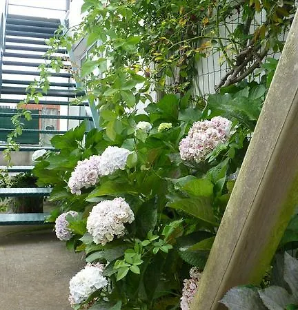 Azores Holidays House -b&b - - Self Check-in Keyboard Panzió 3*