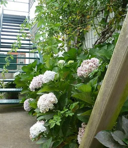 Azores Holidays House -b&b - - Self Check-in Keyboard לינה וארוחת בוקר 3*