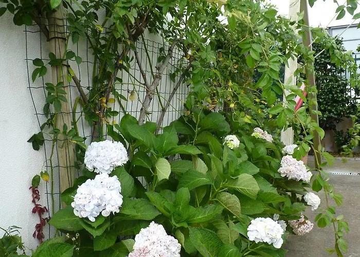 Azores Holidays House -b&b - - Self Check-in Keyboard 3* Ponta Delgada